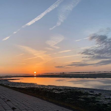 Vakantiewoning De Bosrand Aan Zee Sint Annaland Εξωτερικό φωτογραφία