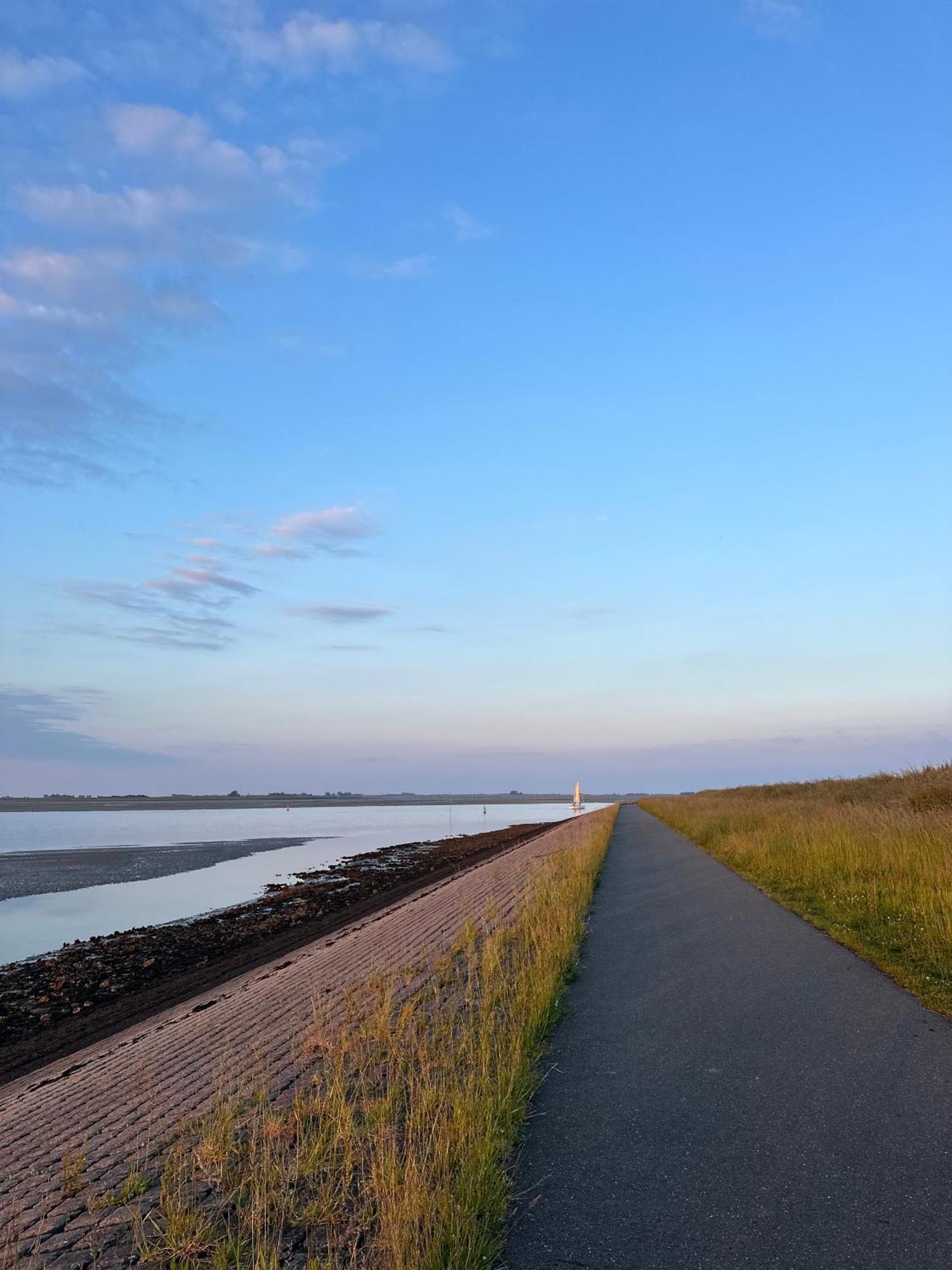 Vakantiewoning De Bosrand Aan Zee Sint Annaland Εξωτερικό φωτογραφία