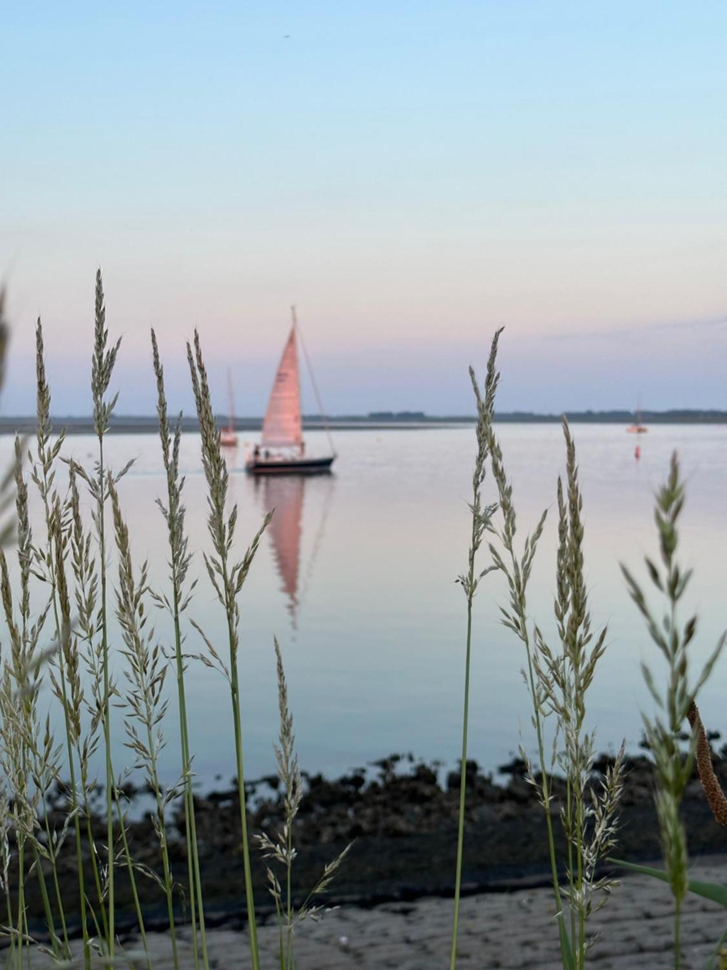 Vakantiewoning De Bosrand Aan Zee Sint Annaland Εξωτερικό φωτογραφία