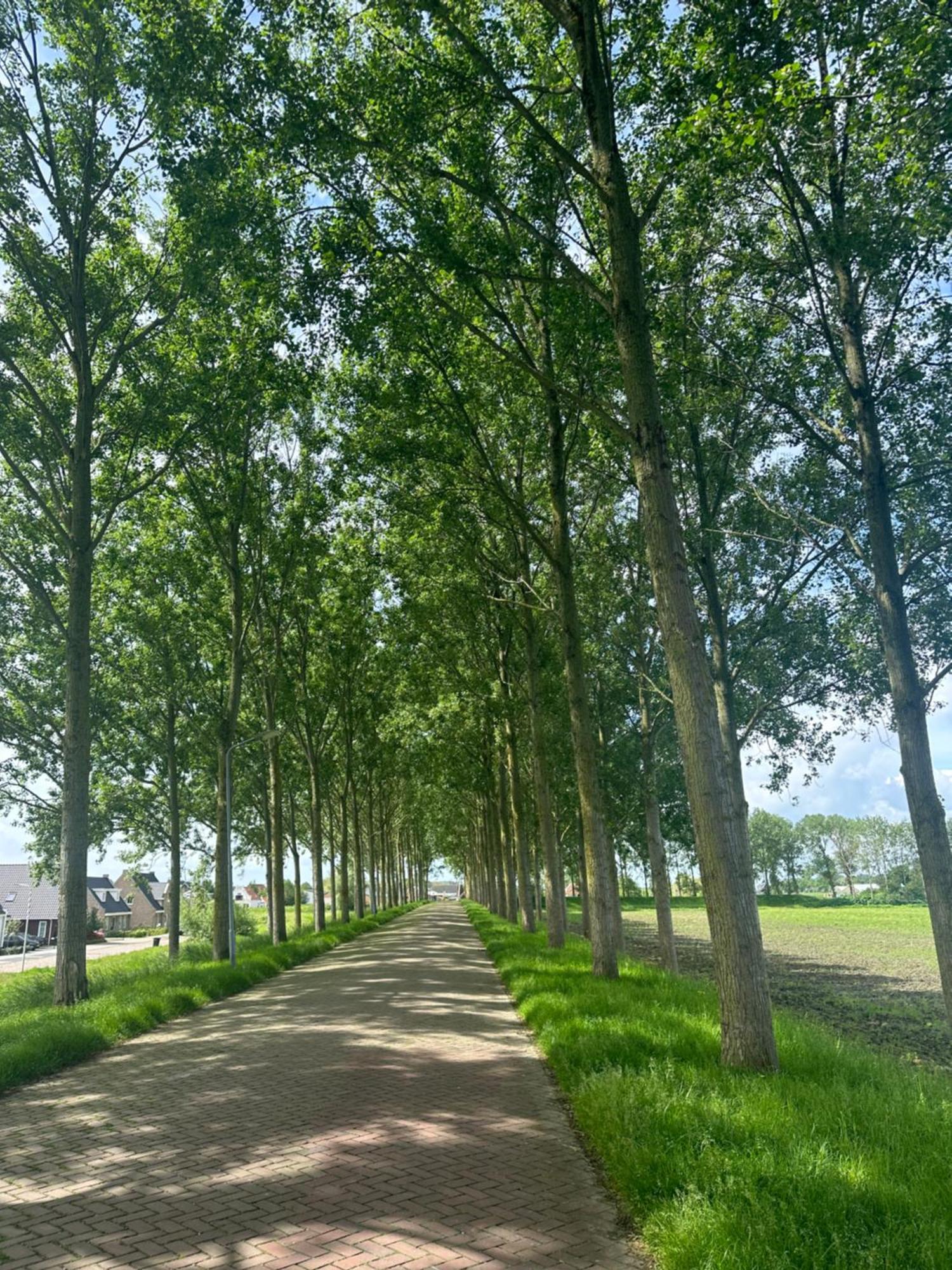 Vakantiewoning De Bosrand Aan Zee Sint Annaland Εξωτερικό φωτογραφία